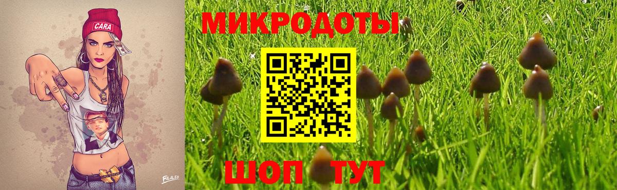 цена наркотик  Галлюциногенные грибы Cubensis  Вход с VPN  Армавир 