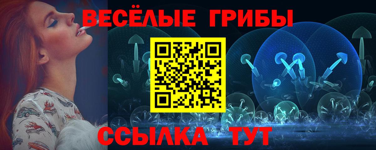 Псилоцибиновые грибы мухоморы Армавир