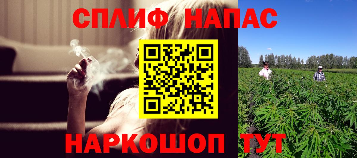 Канабис конопля Армавир